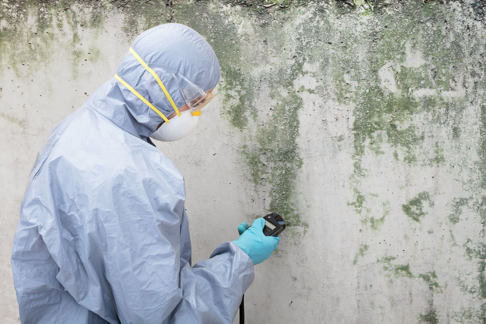 Unexplained Allergies at Home in Florida? You Need a Mold Testing Service